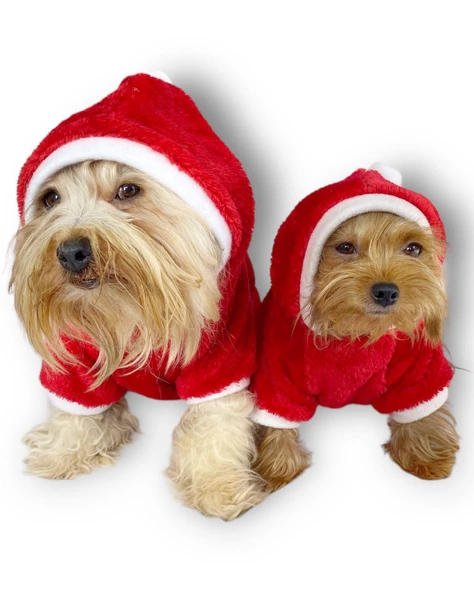 Santa Time Yılbaşı Köpek Sweatshirt, Noel Sweatshirt gold - 11