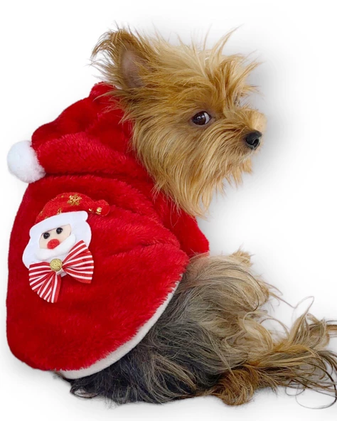 Santa Time Yılbaşı Köpek Sweatshirt, Noel Sweatshirt gold - 2