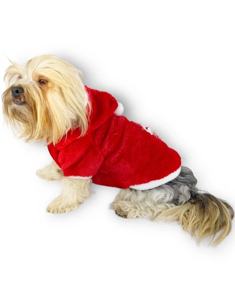 Santa Time Yılbaşı Köpek Sweatshirt, Noel Sweatshirt gold - 4