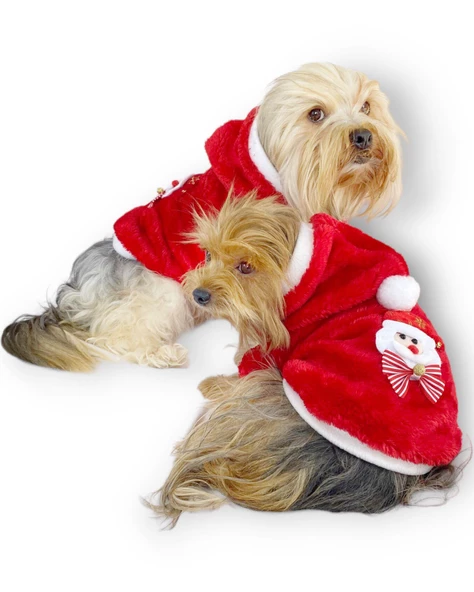 Santa Time Yılbaşı Köpek Sweatshirt, Noel Sweatshirt gold