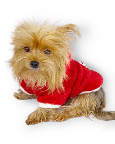 Santa Time Yılbaşı Köpek Sweatshirt, Noel Sweatshirt gold - 10