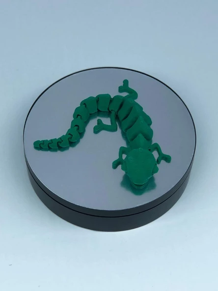 3D Hareketli Bukalemun Figürlü Oyuncak - Yeşil - Resim 4