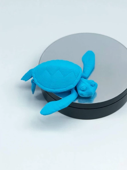 3D Hareketli Kaplumbağa Figürlü Oyuncak - Mavi - Resim 7