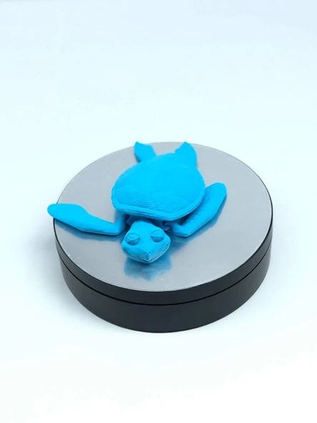 3D Hareketli Kaplumbağa Figürlü Oyuncak - Mavi - Resim 2
