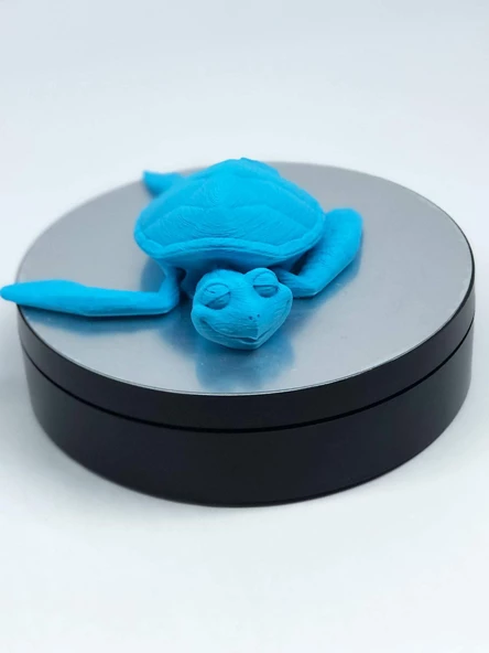 3D Hareketli Kaplumbağa Figürlü Oyuncak - Mavi ürün görseli 1