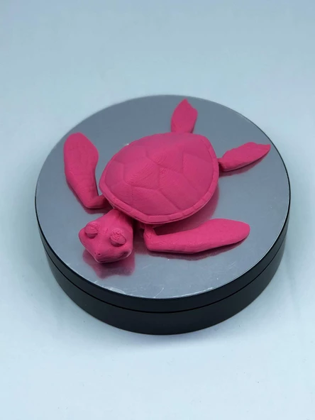3D Hareketli Kaplumbağa Figürlü Oyuncak - Pembe - Resim 6