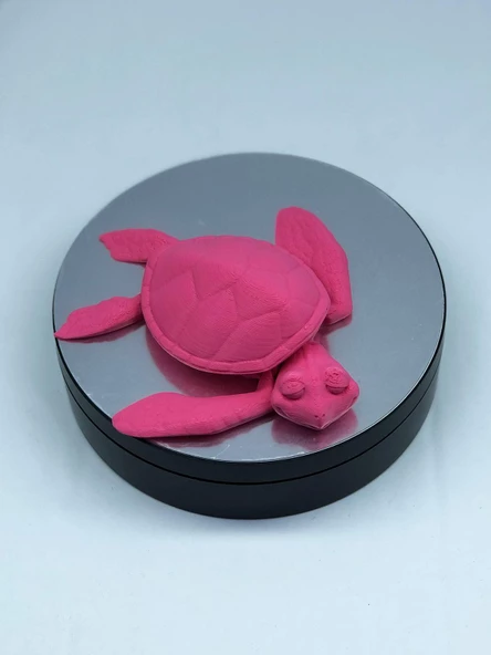 3D Hareketli Kaplumbağa Figürlü Oyuncak - Pembe - Resim 5