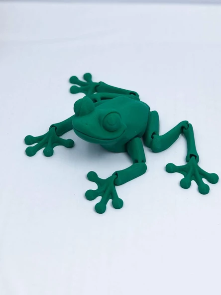 3D Hareketli Kurbağa Figürlü Oyuncak - Yeşil - Resim 8