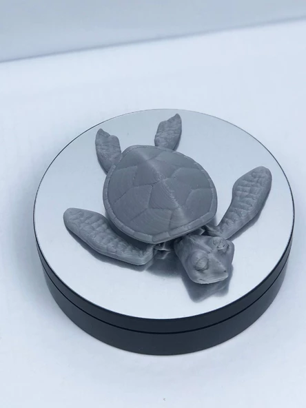3D Hareketli Kaplumbağa Figürlü Oyuncak - Gri ürün görseli 1