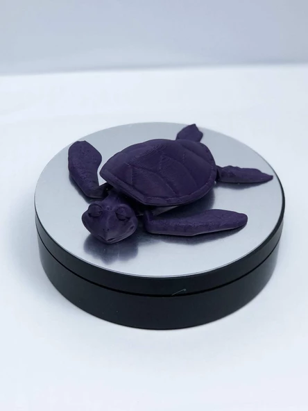 3D Hareketli Kaplumbağa Figürlü Oyuncak - Mor - Resim 5