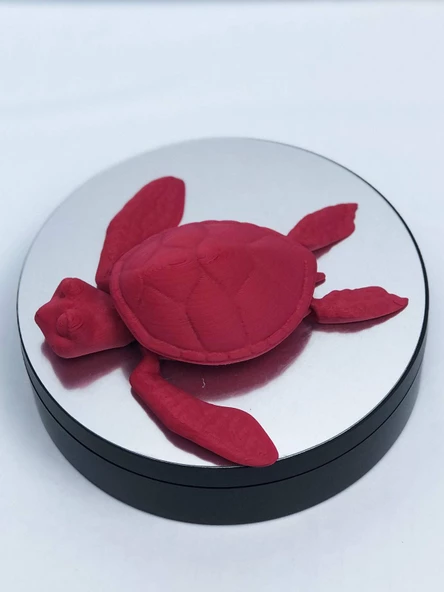 3D Hareketli Kaplumbağa Figürlü Oyuncak - Kırmızı - Resim 4