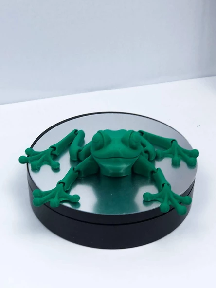 3D Hareketli Kurbağa Figürlü Oyuncak - Yeşil ürün görseli 1