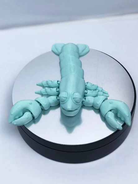 3D Hareketli Istakoz Figürlü Oyuncak - Turkuaz - Resim 4