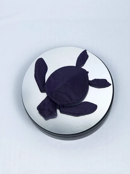 3D Hareketli Kaplumbağa Figürlü Oyuncak - Mor - Resim 6