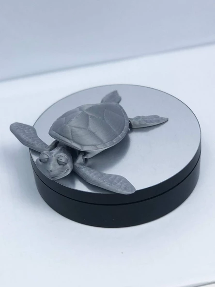 3D Hareketli Kaplumbağa Figürlü Oyuncak - Gri - Resim 3