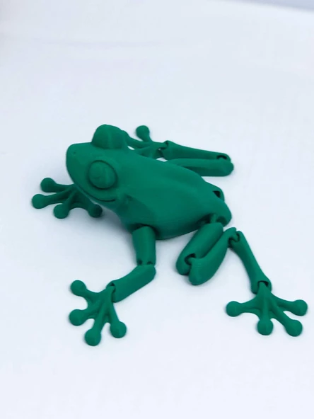 3D Hareketli Kurbağa Figürlü Oyuncak - Yeşil - Resim 5