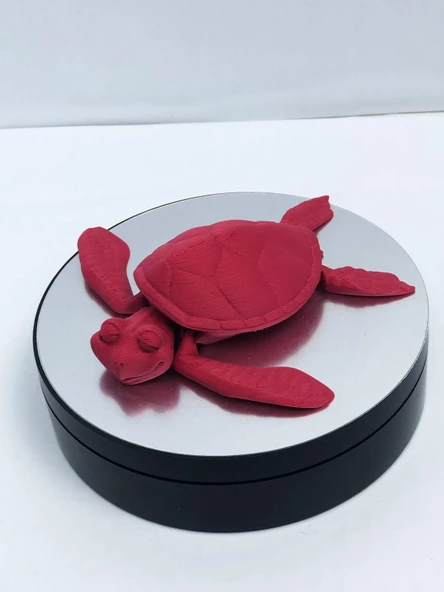 3D Hareketli Kaplumbağa Figürlü Oyuncak - Kırmızı - Resim 3