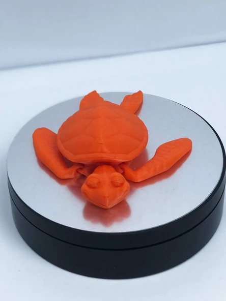 3D Hareketli Kaplumbağa Figürlü Oyuncak - Turuncu - Resim 5