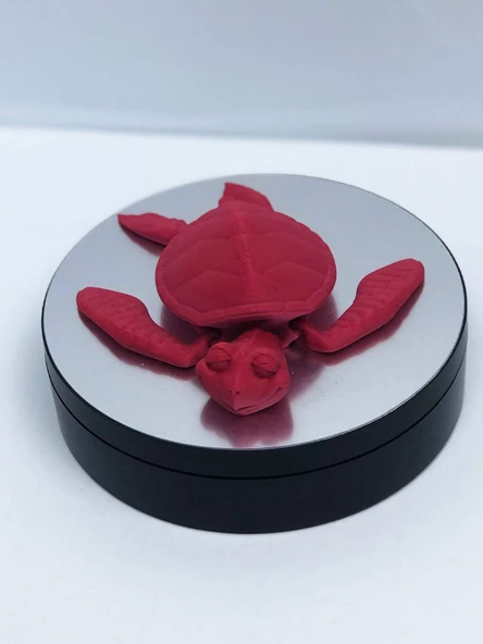 3D Hareketli Kaplumbağa Figürlü Oyuncak - Kırmızı - Resim 5