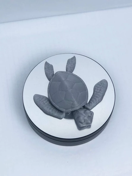 3D Hareketli Kaplumbağa Figürlü Oyuncak - Gri - Resim 4