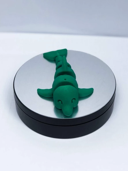 3D Hareketli Yunus Figürlü Oyuncak - Yeşil - Resim 4