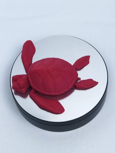 3D Hareketli Kaplumbağa Figürlü Oyuncak - Kırmızı - Resim 6