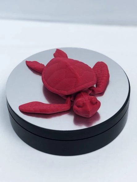 3D Hareketli Kaplumbağa Figürlü Oyuncak - Kırmızı ürün görseli 1