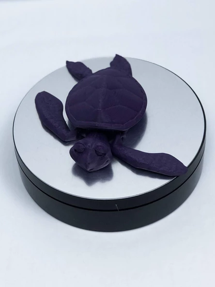 3D Hareketli Kaplumbağa Figürlü Oyuncak - Mor - Resim 3