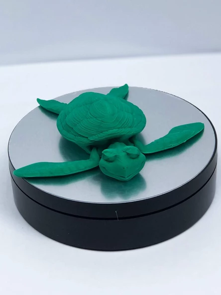 3D Hareketli Kaplumbağa Figürlü Oyuncak - Yeşil ürün görseli 1