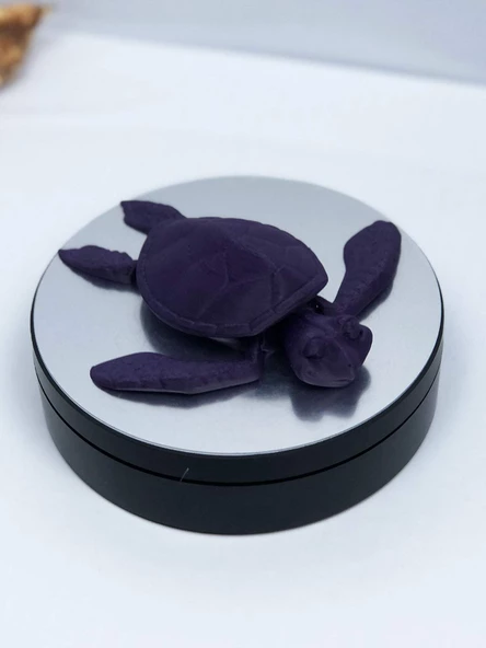 3D Hareketli Kaplumbağa Figürlü Oyuncak - Mor - Resim 4