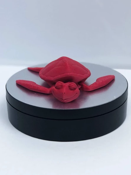 3D Hareketli Kaplumbağa Figürlü Oyuncak - Kırmızı - Resim 8