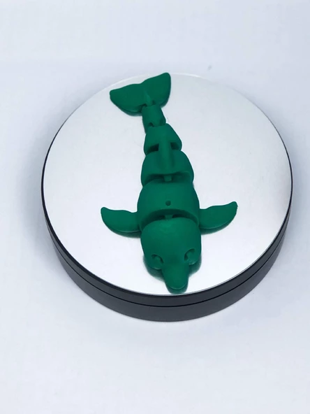 3D Hareketli Yunus Figürlü Oyuncak - Yeşil - Resim 7