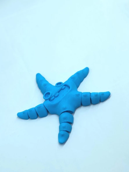3D Hareketli Deniz Yıldızı Oyuncak - Mavi - Resim 4