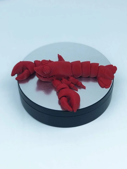 3D Hareketli Istakoz Figürlü Oyuncak - Kırmızı - Resim 5