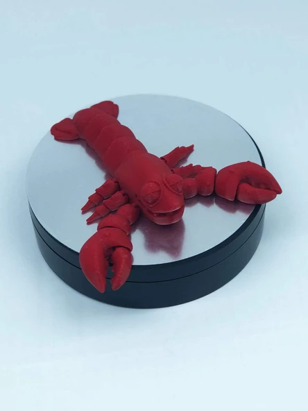 3D Hareketli Istakoz Figürlü Oyuncak - Kırmızı - Resim 6