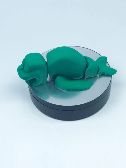 3D Hareketli Deniz Aygırı / Mors Figürlü Oyuncak - Yeşil - Resim 5