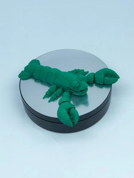 3D Hareketli Istakoz Figürlü Oyuncak - Yeşil - Resim 7