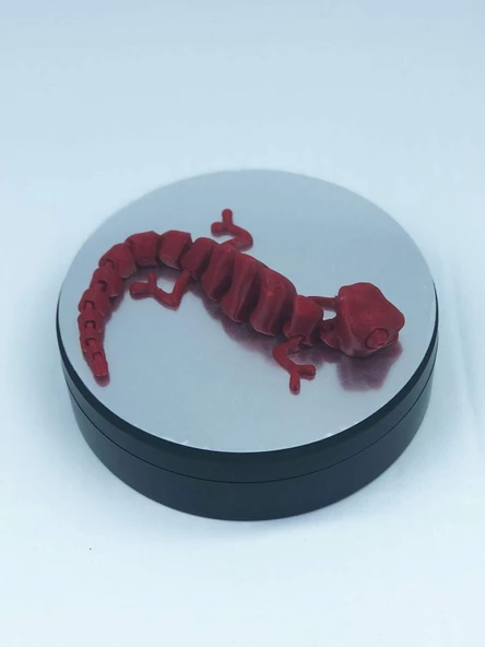 3D Hareketli Bukalemun Figürlü Oyuncak - Kırmızı - 2