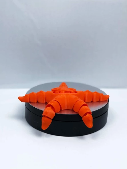 3D Hareketli Oyuncak Deniz Yıldızı - Koyu Turuncu - 6