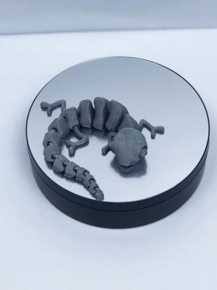 3D Hareketli Bukalemun Figürlü Oyuncak - Gri - Resim 2