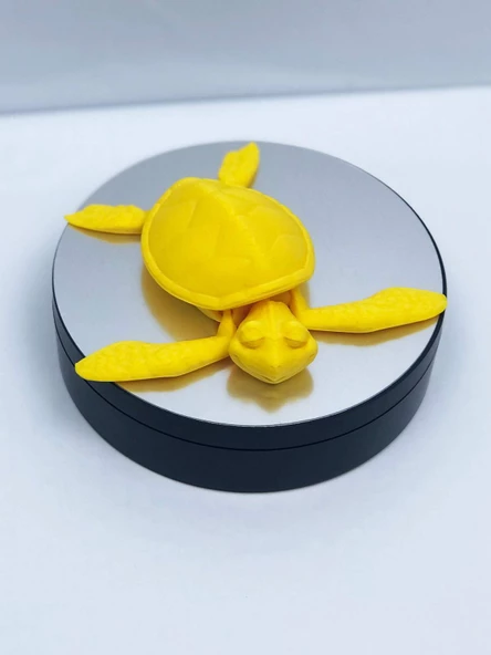 3D Hareketli Kaplumbağa Figürlü Oyuncak - Sarı - Resim 2