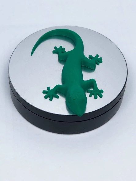 3D Kertenkele Gecko Figürlü Model Oyuncak - Yeşil - 5