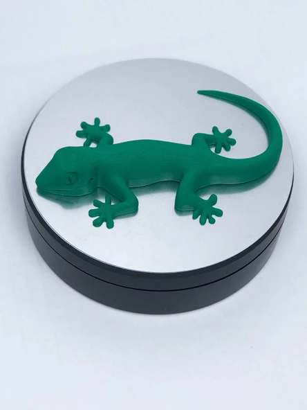 3D Kertenkele Gecko Figürlü Model Oyuncak - Yeşil - 6