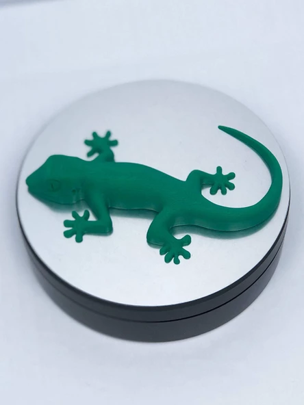 3D Kertenkele Gecko Figürlü Model Oyuncak - Yeşil - 3