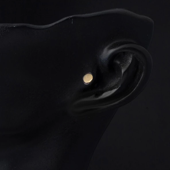 14 Ayar Altın Tragus Piercing Küpe - 2