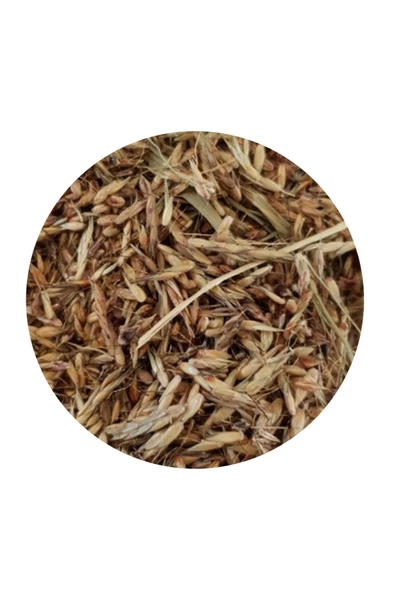 Delicha Tohumu Bağışıklık Sistemi Kuvvetlendirici 50Gr - 3
