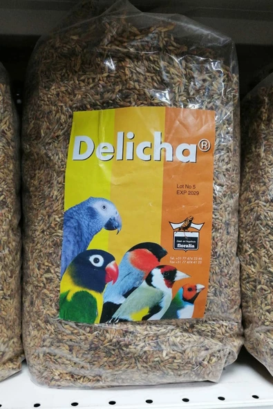 Delicha Tohumu Bağışıklık Sistemi Kuvvetlendirici 50Gr - 2