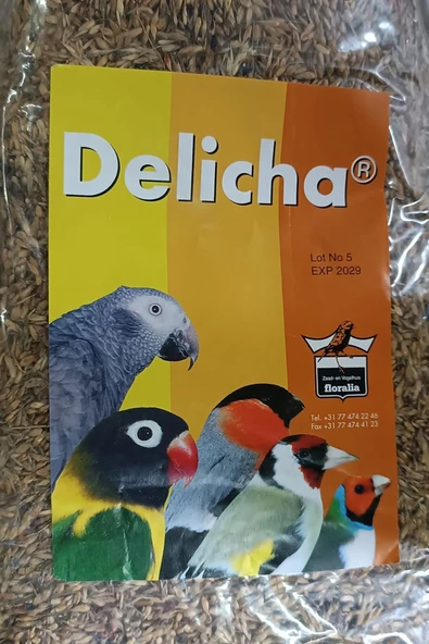Delicha Tohumu Bağışıklık Sistemi Kuvvetlendirici 50Gr