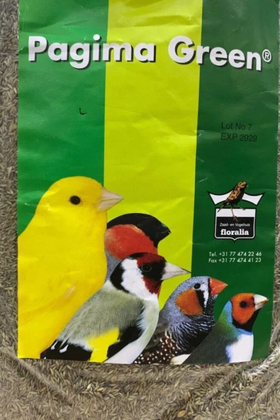Pagima Green Sindirim Sistemi Düzenleyici Çim Tohumu - 50gr - 2