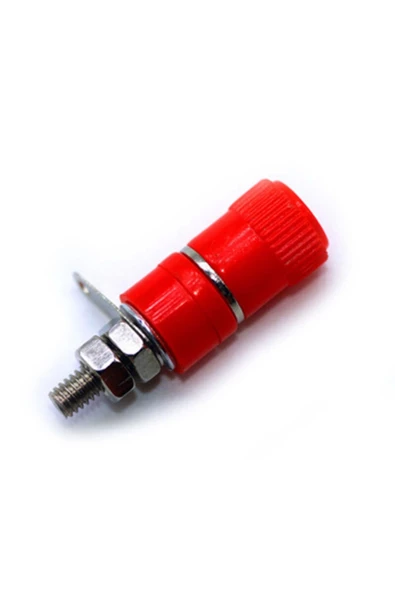 Born Dişi Jak Orta Boy - 4mm - Resim 7